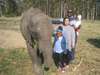 Candice Eseme - visiting Knysna Elephant Sanctuary